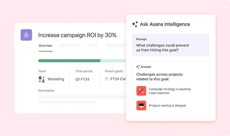 Asana reporting e dashboard per Project Manager